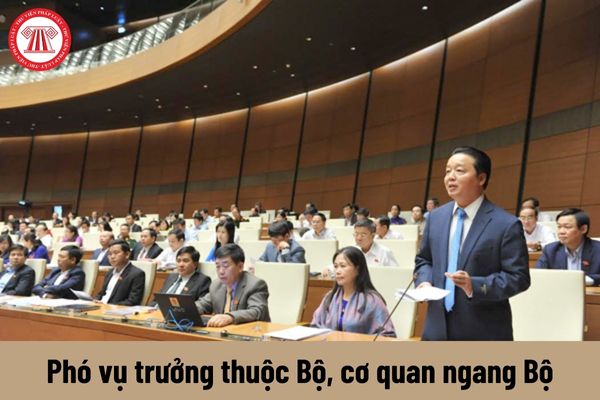 Phó vụ trưởng thuộc Bộ, cơ quan ngang Bộ được nhận mức phụ cấp chức vụ lãnh đạo là bao nhiêu?