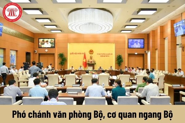 Phó chánh văn phòng Bộ, cơ quan ngang Bộ được nhận mức phụ cấp chức vụ lãnh đạo là bao nhiêu?