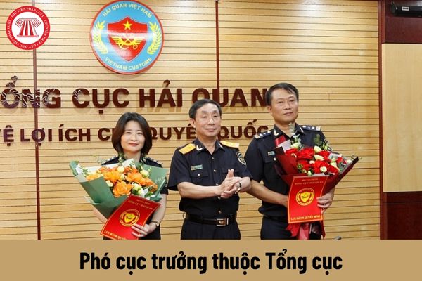 Mức phụ cấp chức vụ lãnh đạo của Phó cục trưởng thuộc Tổng cục được nhận là bao nhiêu?