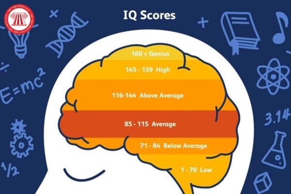 IQ là gì? Có được dựa vào chỉ số IQ để tuyển dụng lao động không?