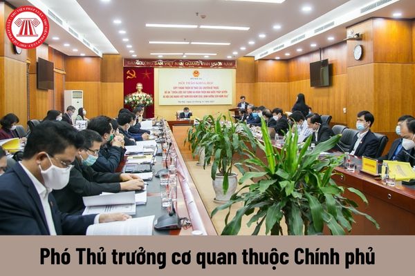 Phó Thủ trưởng cơ quan thuộc Chính phủ được nhận mức phụ cấp chức vụ lãnh đạo là bao nhiêu?