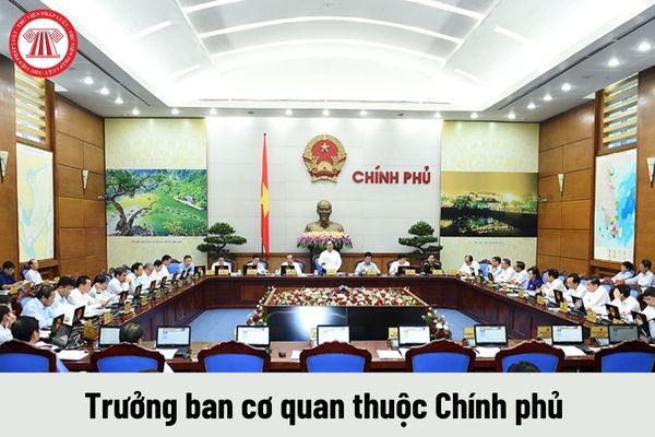 Trưởng ban cơ quan thuộc Chính phủ được nhận mức phụ cấp chức vụ lãnh đạo là bao nhiêu?