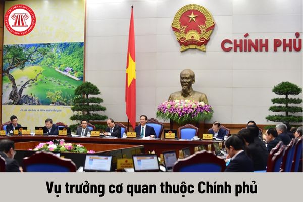 Vụ trưởng cơ quan thuộc Chính phủ được nhận mức phụ cấp chức vụ lãnh đạo là bao nhiêu?