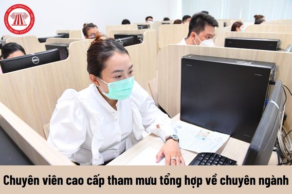 Chuyên viên cao cấp tham mưu tổng hợp về chuyên ngành phải đáp ứng tiêu chuẩn về trình độ ra sao?