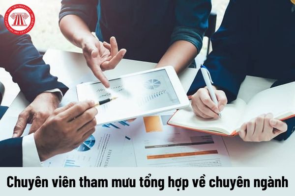 Chuyên viên tham mưu tổng hợp về chuyên ngành phải đáp ứng tiêu chuẩn về trình độ như thế nào?