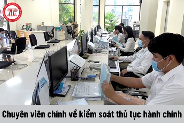 Tiêu chuẩn về trình độ đối với chuyên viên chính về kiểm soát thủ tục hành chính như thế nào?