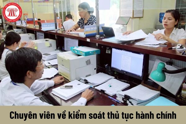 Chuyên viên về kiểm soát thủ tục hành chính phải đáp ứng tiêu chuẩn về trình độ như thế nào?