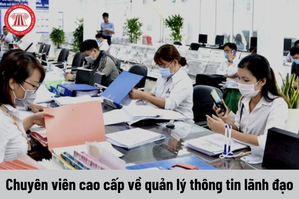 Chuyên viên cao cấp về quản lý thông tin lãnh đạo phải đáp ứng tiêu chuẩn về trình độ như thế nào?