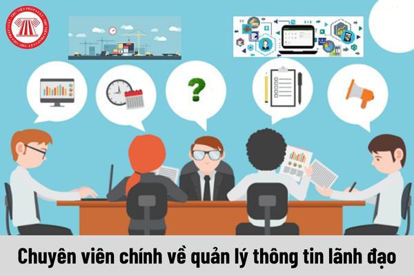 Tiêu chuẩn về trình độ đối với chuyên viên chính về quản lý thông tin lãnh đạo như thế nào?