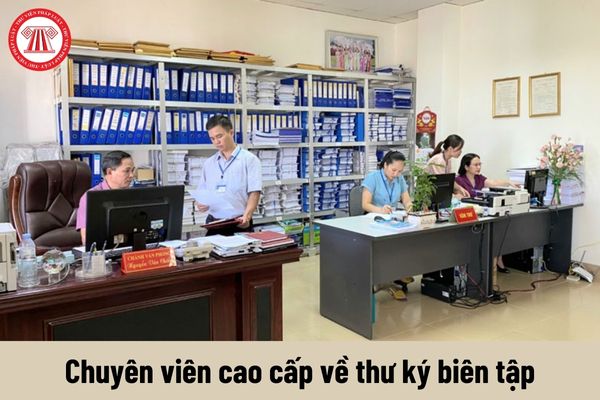 Chuyên viên cao cấp về thư ký biên tập phải đáp ứng tiêu chuẩn về trình độ như thế nào?