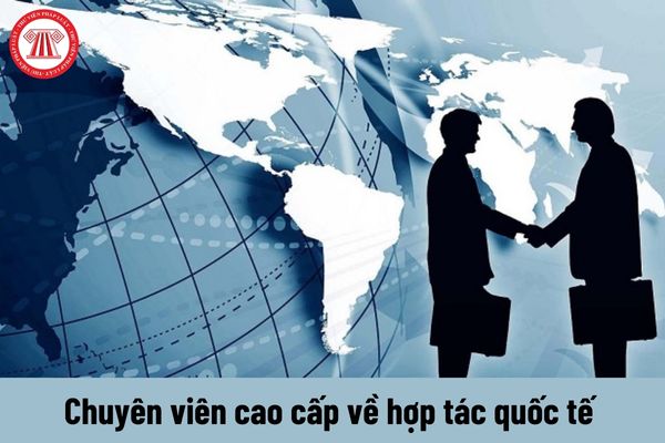 Chuyên viên cao cấp về hợp tác quốc tế có yêu cầu về trình độ như thế nào?