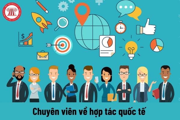 Quyền của người giữ chức vụ chuyên viên về hợp tác quốc tế hiện nay là gì?