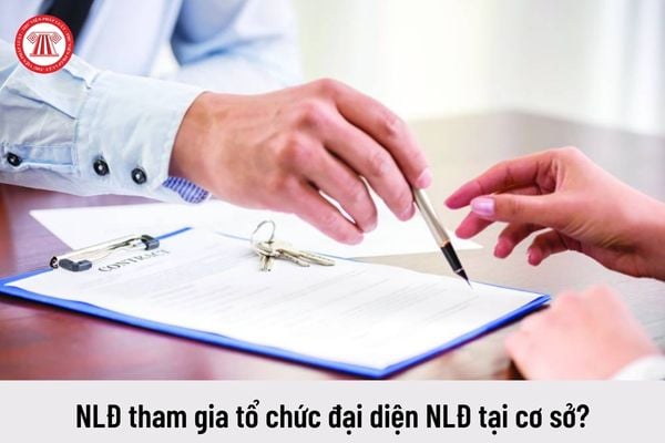 Không tiếp tục giao kết hợp đồng lao động với người lao động vì lý do gia nhập tổ chức đại diện người lao động tại cơ sở thì bị xử phạt như thế nào?