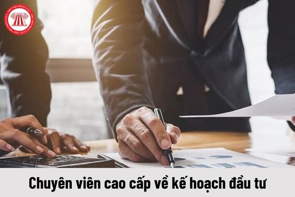 Chuyên viên cao cấp về kế hoạch đầu tư có yêu cầu về trình độ như thế nào?