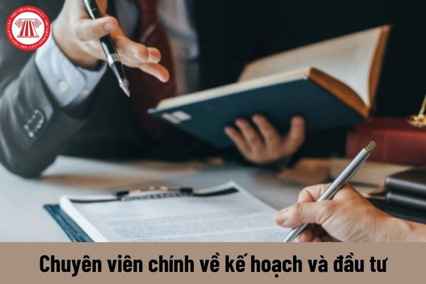 Yêu cầu về trình độ đối với người giữ chức vụ Chuyên viên chính về kế hoạch và đầu tư là gì?