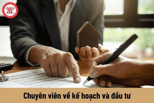 Quyền của người giữ chức vụ chuyên viên về kế hoạch và đầu tư hiện nay là gì?