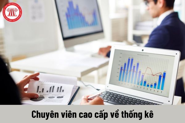 Yêu cầu về trình độ đối với người giữ chức vụ Chuyên viên cao cấp về thống kê là gì?