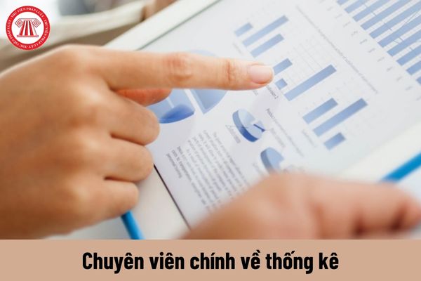 Chuyên viên chính về thống kê có yêu cầu về trình độ như thế nào?