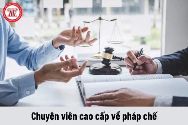 Chuyên viên cao cấp về pháp chế có yêu cầu về trình độ như thế nào?