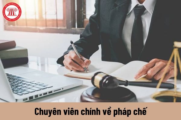 Chuyên viên chính về pháp chế phải có năng lực như thế nào?