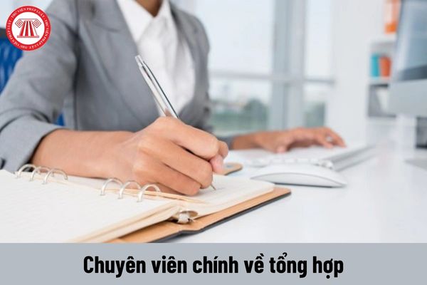 Chuyên viên chính về tổng hợp có yêu cầu về trình độ như thế nào?