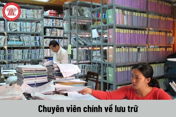 Chuyên viên chính về lưu trữ có yêu cầu về trình độ như thế nào?