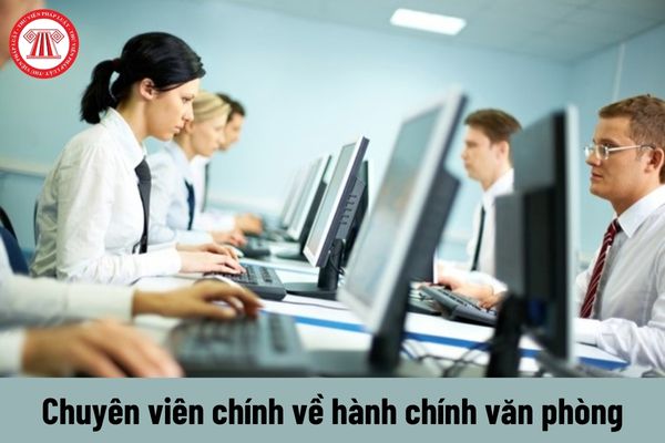 Chuyên viên chính về hành chính văn phòng có yêu cầu về trình độ như thế nào?