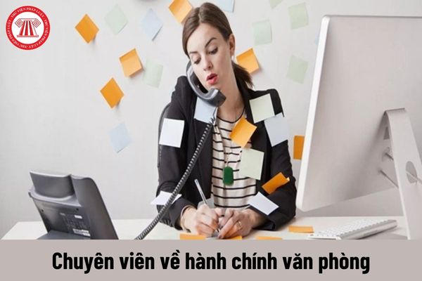 Người giữ chức vụ Chuyên viên về hành chính văn phòng có những quyền gì?