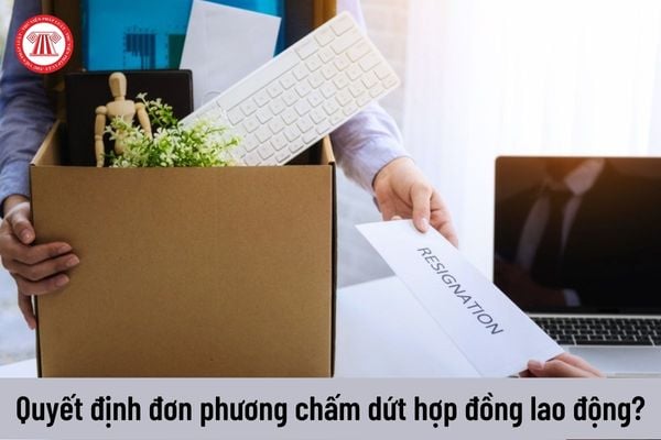 Vi phạm thời gian báo trước với cơ quan chuyên môn trước khi đơn phương chấm dứt HĐLĐ với thành viên tổ chức đại diện thì bị xử phạt thế nào?