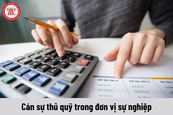 Người giữ chức vụ Cán sự thủ quỹ trong đơn vị sự nghiệp có những quyền gì?