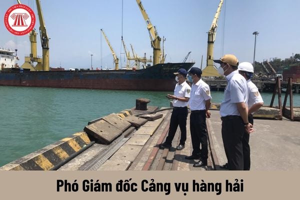 Phó Giám đốc Cảng vụ hàng hải có yêu cầu về trình độ như thế nào?