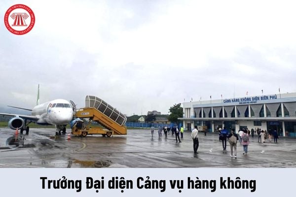 Trưởng Đại diện Cảng vụ hàng không có yêu cầu về trình độ như thế nào?