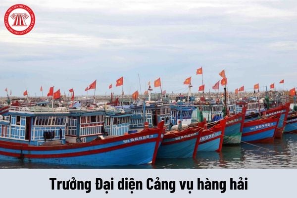 Người giữ chức vụ Trưởng Đại diện Cảng vụ hàng hải có những quyền gì?