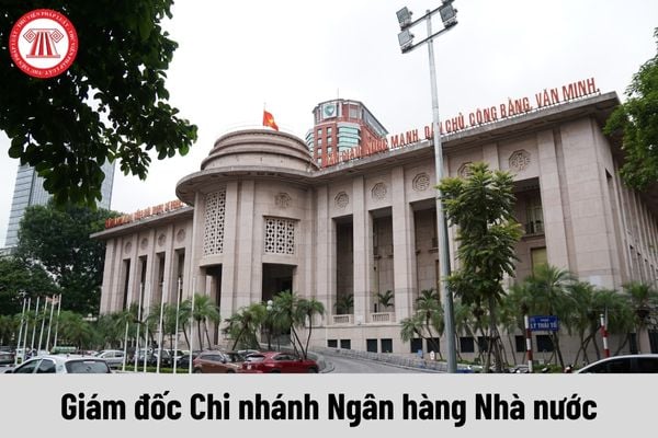 Giám đốc Chi nhánh Ngân hàng Nhà nước có yêu cầu về trình độ như thế nào?