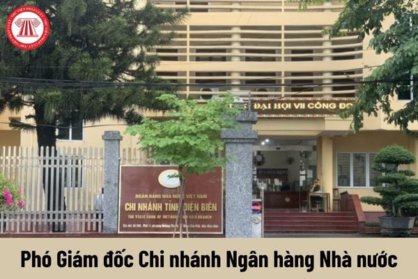 Người giữ chức vụ Phó Giám đốc Chi nhánh Ngân hàng Nhà nước có những quyền gì?