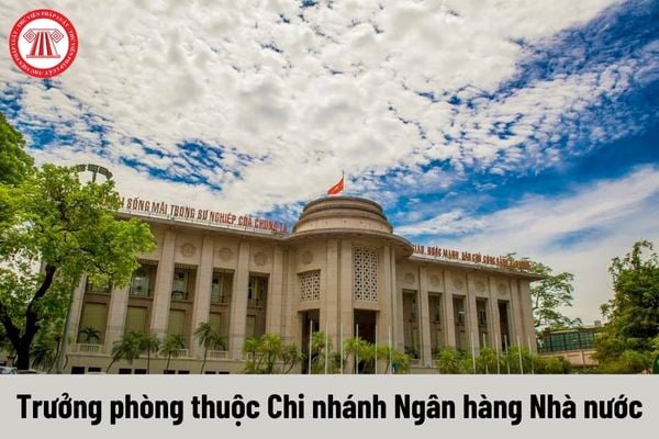 Quyền của người giữ chức vụ Trưởng phòng thuộc Chi nhánh Ngân hàng Nhà nước là gì?