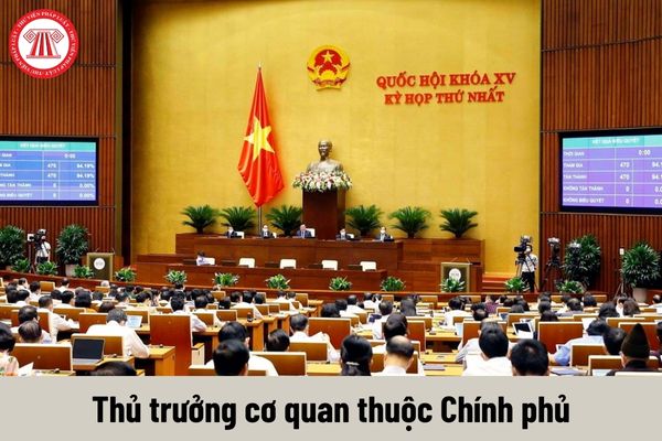 Người giữ chức vụ Thủ trưởng cơ quan thuộc Chính phủ có những quyền gì?