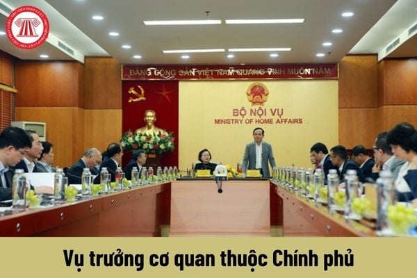 Quyền của người giữ chức vụ Vụ trưởng cơ quan thuộc Chính phủ là gì?