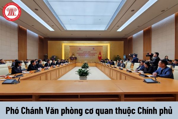 Phó Chánh Văn phòng cơ quan thuộc Chính phủ có yêu cầu về trình độ như thế nào?