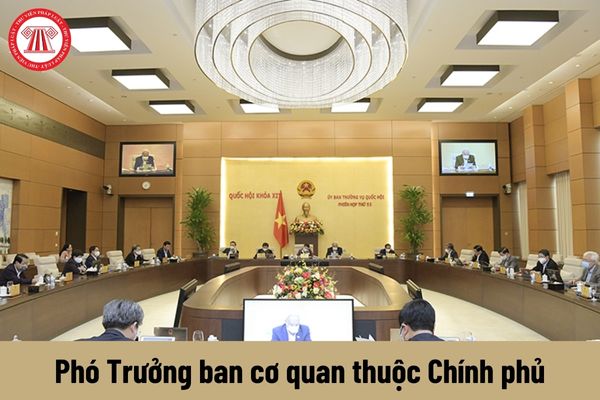 Người giữ chức vụ Phó Trưởng ban cơ quan thuộc Chính phủ có những quyền gì?