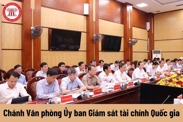 Nhiệm vụ của Chánh Văn phòng Ủy ban Giám sát tài chính Quốc gia phải thực hiện là gì?