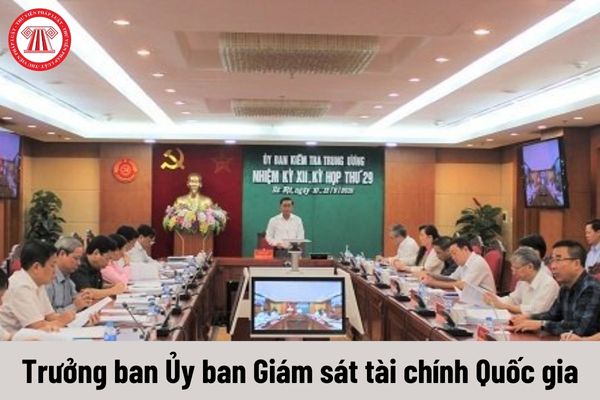 Trưởng ban Ủy ban Giám sát tài chính Quốc gia có yêu cầu về trình độ như thế nào?