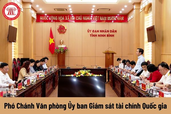 Phó Chánh Văn phòng Ủy ban Giám sát tài chính Quốc gia có yêu cầu về trình độ như thế nào?