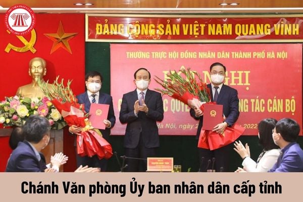 Quyền của người giữ chức vụ Chánh Văn phòng Ủy ban nhân dân cấp tỉnh là gì?