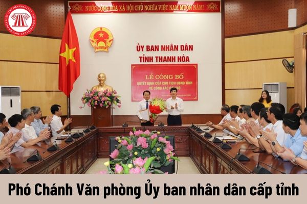 Phó Chánh Văn phòng Ủy ban nhân dân cấp tỉnh có yêu cầu về trình độ như thế nào?