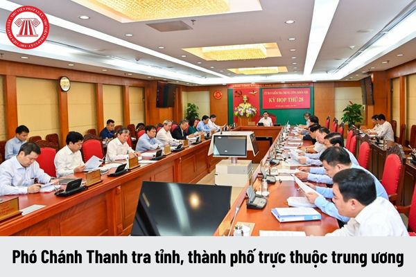 Phó Chánh Thanh tra tỉnh, thành phố trực thuộc trung ương có yêu cầu về trình độ như thế nào?