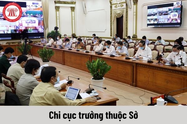 Người giữ chức vụ Chi cục trưởng thuộc Sở có nhưng quyền gì?