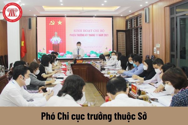 Nhiệm vụ của Phó Chi cục trưởng thuộc Sở phải thực hiện là gì?