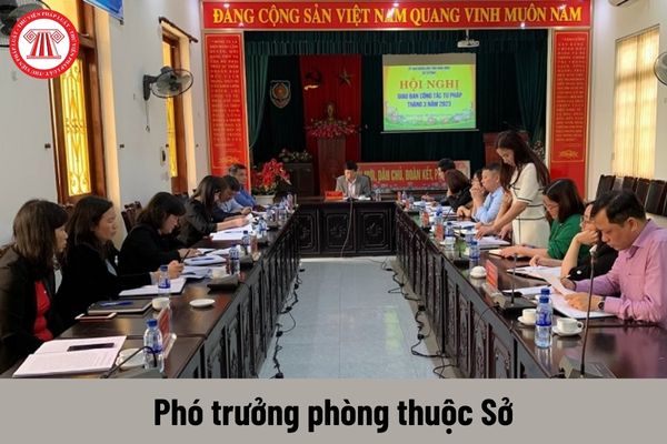 Phó trưởng phòng thuộc Sở có yêu cầu về trình độ như thế nào?