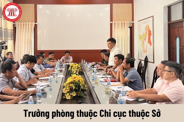 Người giữ chức vụ Trưởng phòng thuộc Chi cục thuộc Sở có những quyền gì?